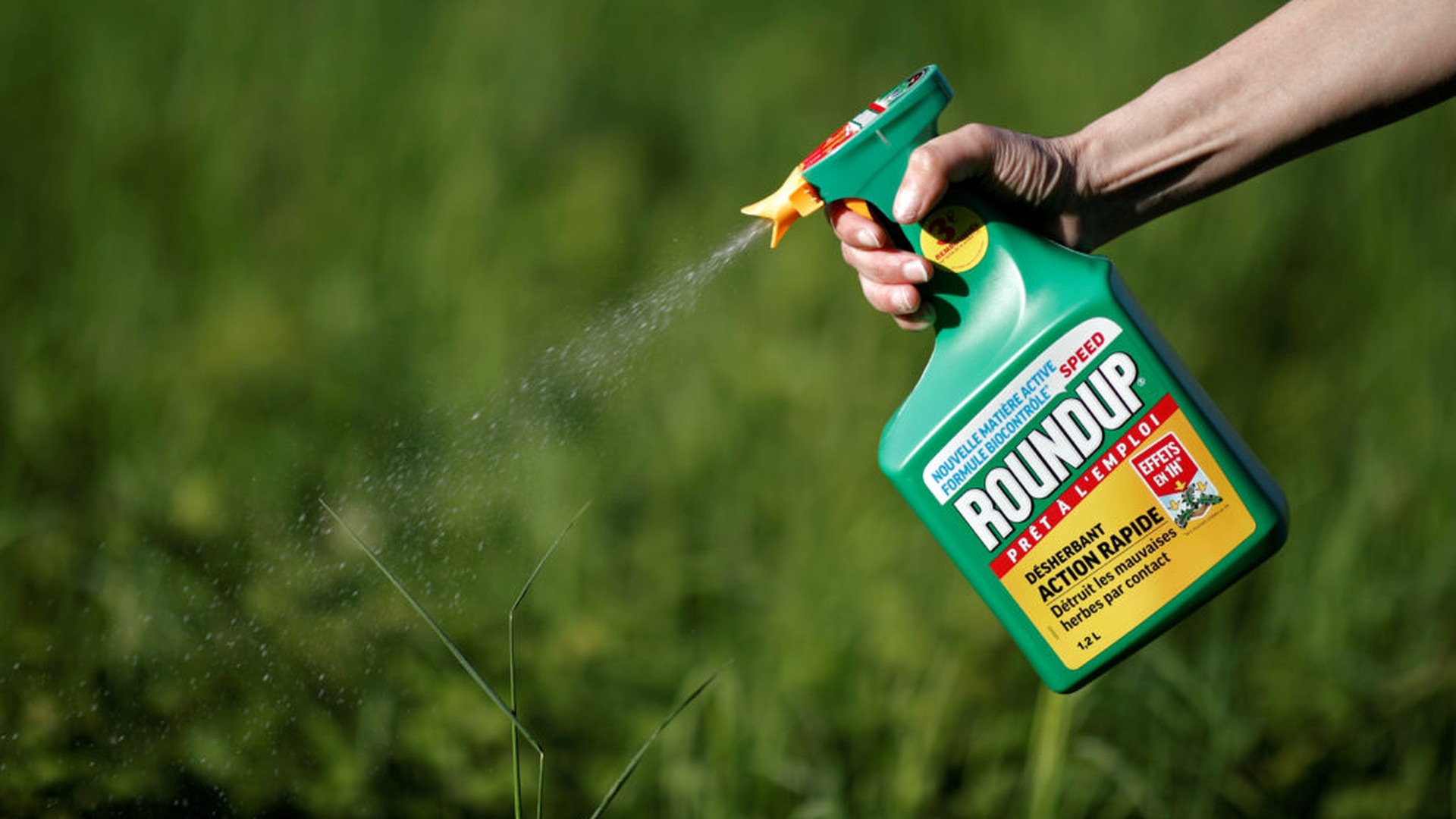 Roundup Weed Killer Cancer Lawsuits